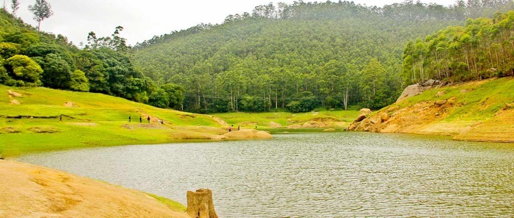 munnar tour packages from pondicherry