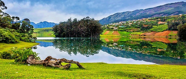 ooty tour packages from pondicherry